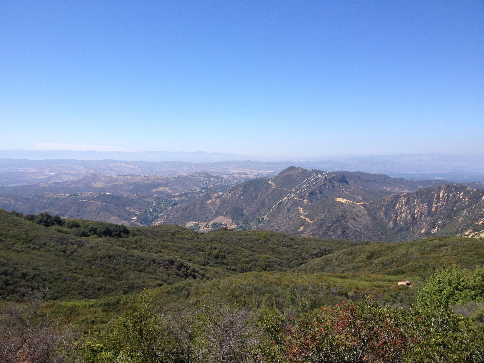 Southern California blues
